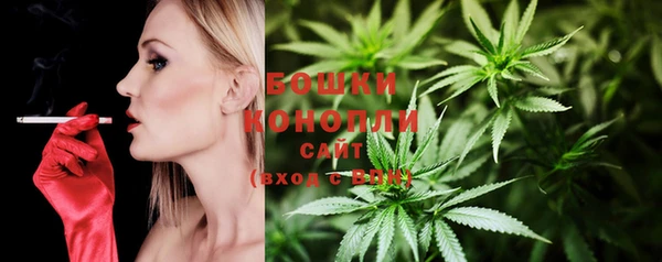прущие грибы Балахна