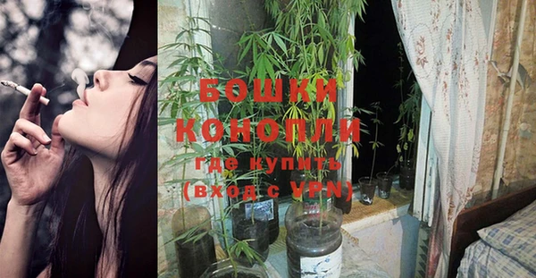 прущие грибы Балахна