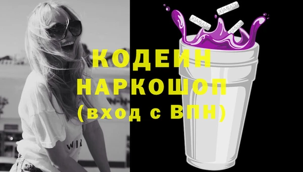 прущие грибы Балахна