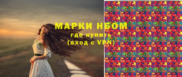 прущие грибы Балахна