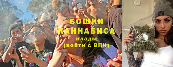 прущие грибы Балахна