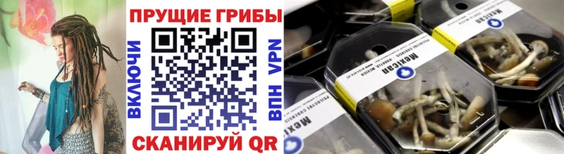 Галлюциногенные грибы Cubensis  сайты даркнета наркотические препараты  OMG зеркало  Северо-Курильск  что такое наркотик 
